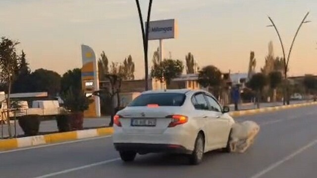 Karayoluna fırlayan 3 keçi aracın çarpması sonucu telef oldu