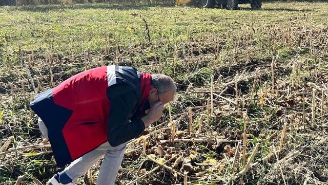 Simav'da ayçiçeği tarlalarında hasat kontrolleri yapıldı