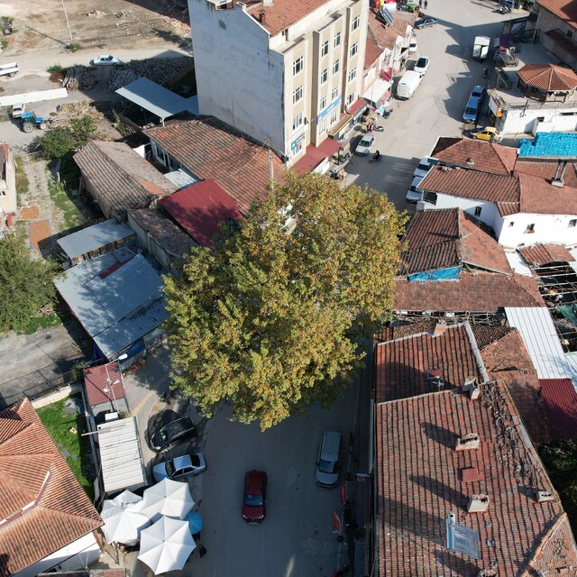 Bir zamanlar darağacı olarak kullanıldığı rivayet edilen çınar, ilçenin sim...