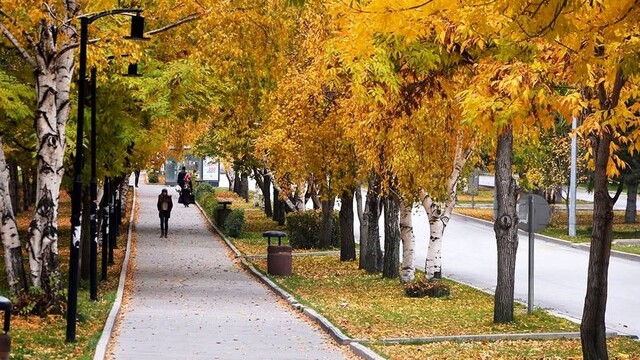 Doğu'da sağanak yağış uyarısı
