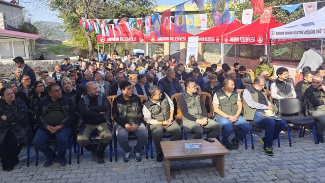Kilosu 3 liradan toplanıyor, işlenince 10 bin lira oluyor: Andırın'da 'yeşil altın' defne hamlesi