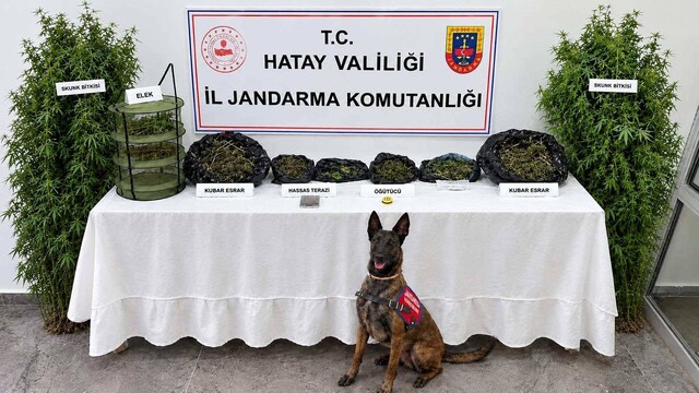 Hatay'da evinde uyuşturucu ele geçirilen şüpheli yakalandı