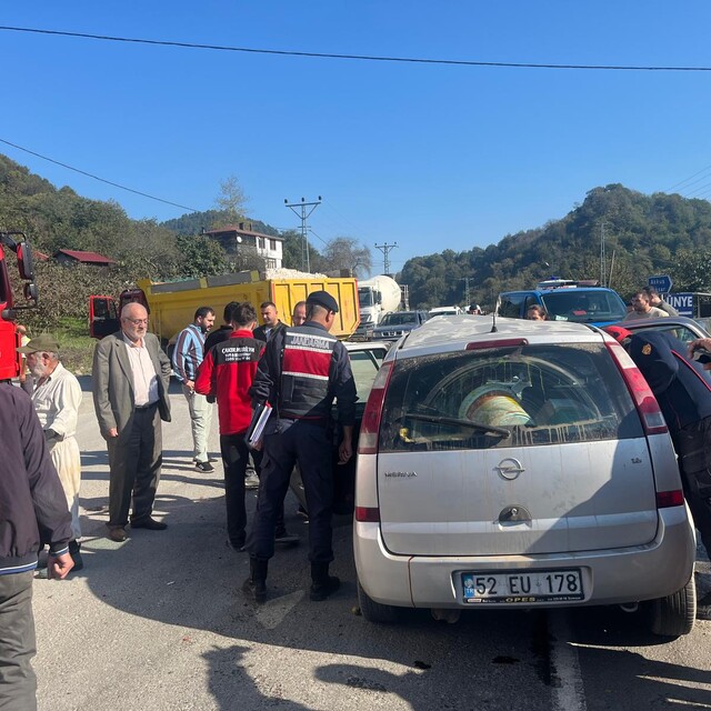 Ordu'da otomobil ve hafriyat kamyonunun çarpıştığı kazada 1 kişi yaralandı