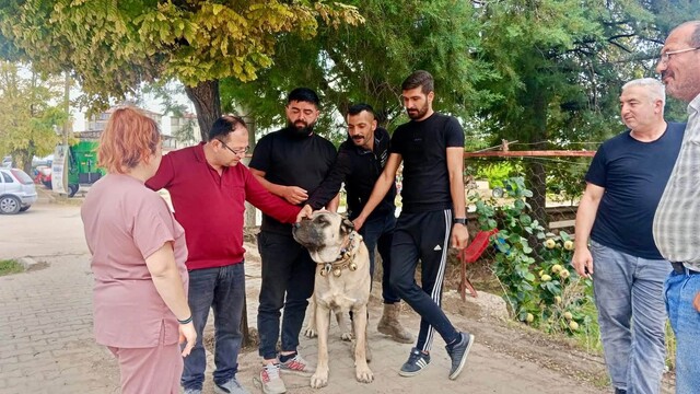 Afyonkarahisar'da "Bir Fidan Bir Umut" projesi sürüyor