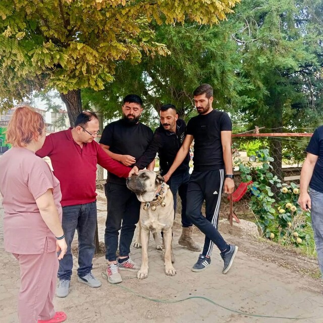 Afyonkarahisar'da "Bir Fidan Bir Umut" projesi sürüyor