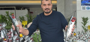 ‘Palamut bolluğu en az 1 ay daha sürecek’