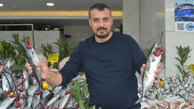 'Palamut bolluğu en az 1 ay daha sürecek'