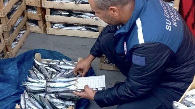 Mersin'de yasa dışı balık avcılığına karşı denetimler sürüyor