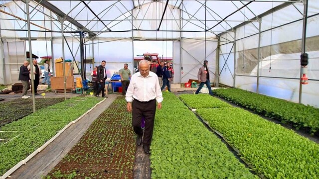 Başkan Güler: "500 bin fidemizi üreticilerimize ücretsiz dağıtacağız"