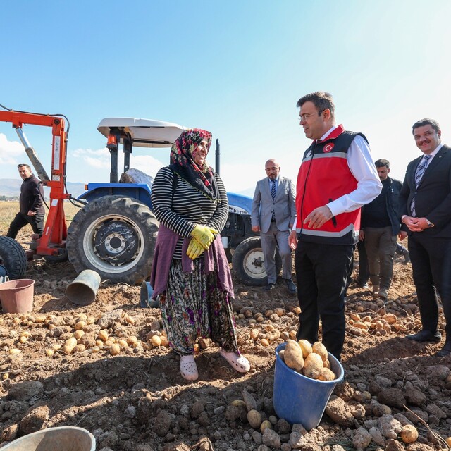 Niğde'de yerli patates çeşitlerinin hasadı yapıldı