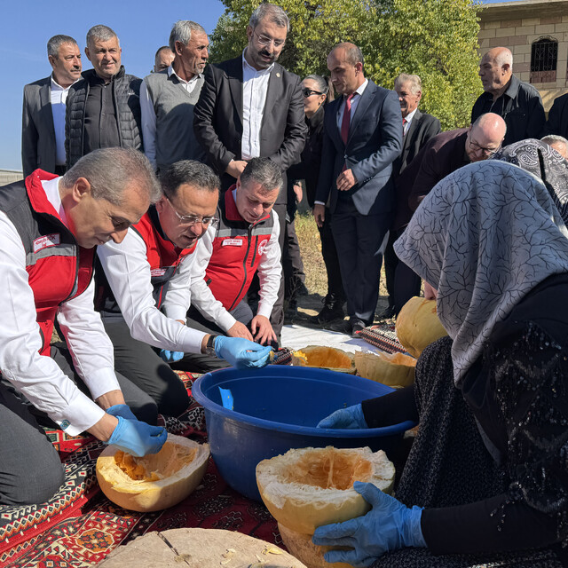 Nevşehir'de coğrafi işaret tescilli çerezlik kabak çekirdeği hasat edildi