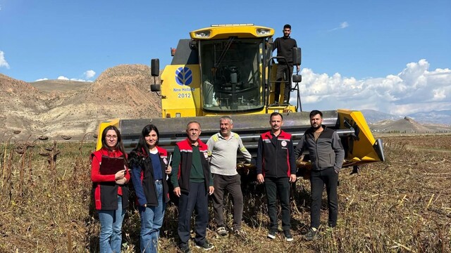 Erzincan'da ayçiçeği hasadında dane kaybına sıkı denetim