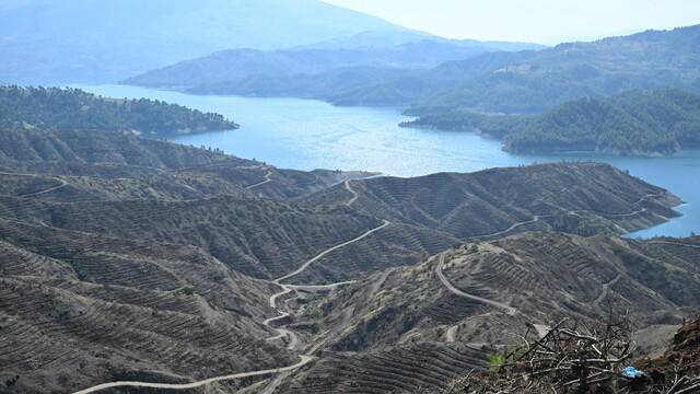Galeri