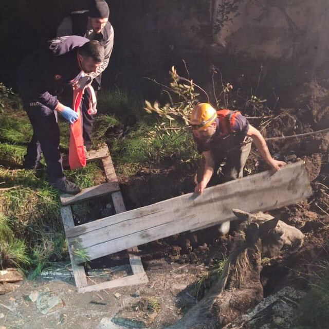 Foseptik çukuruna düşen at AFAD tarafından kurtarıldı