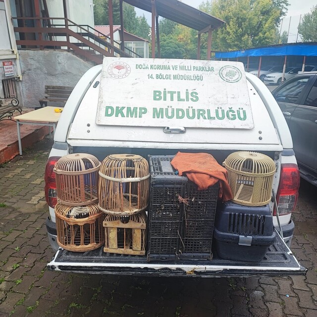 Bitlis'te kaçak avlanmış canlı keklikler doğaya salındı