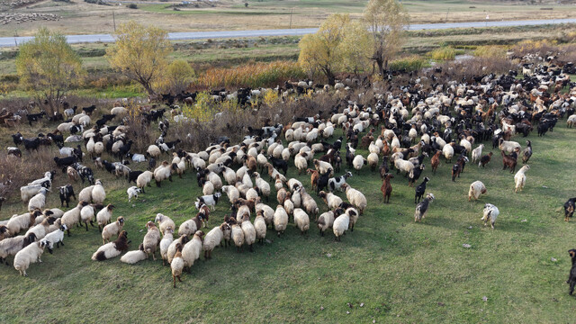 Van ve Bitlis'te göçerlerin dönüş yolculuğu başladı