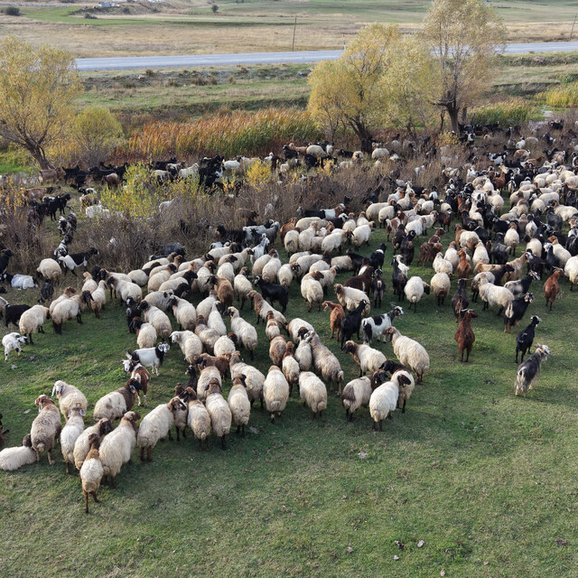 Van ve Bitlis'te göçerlerin dönüş yolculuğu başladı