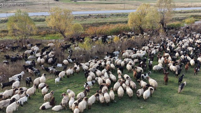 Göçerlerin Van'dan Siirt'e zorlu dönüş yolculuğu başladı