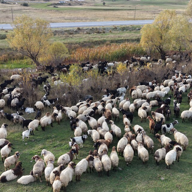 Göçerlerin Van'dan Siirt'e zorlu dönüş yolculuğu başladı
