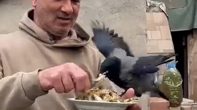 4 yıldır beslediği kargasına elleriyle balık yedirdi