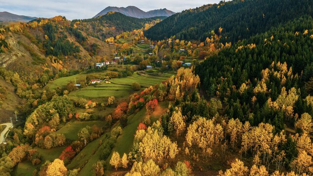 Artvin'de sonbahar renkleri hayran bırakıyor
2500 rakımlı Sahara Geçidi'nde sonbaharda sarı, turuncu ve kırmızının tonlarıyla hayran bırakan manzaralar oluştu