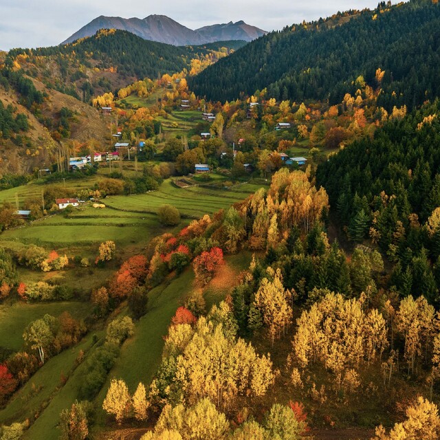 Artvin'de sonbahar renkleri hayran bırakıyor
2500 rakımlı Sahara Geçidi'nde...