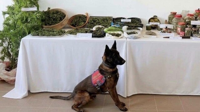 Çanakkale'de uyuşturucu operasyonunda bir şüpheli yakalandı