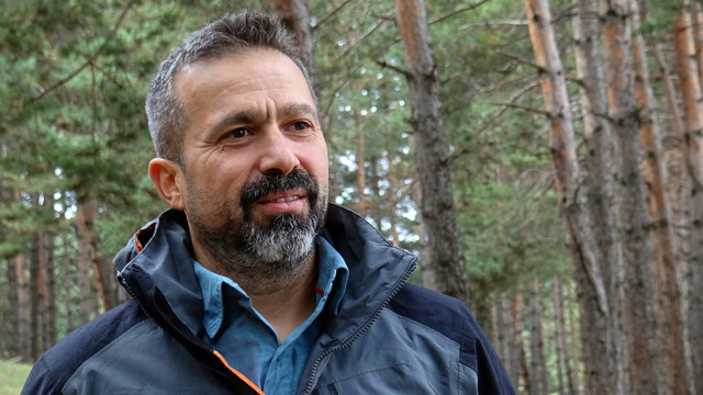 Göçmen bozayılar kış uykusu öncesi Sarıkamış'ta toplanıyor