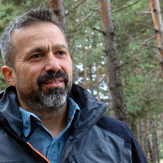 Göçmen bozayılar kış uykusu öncesi Sarıkamış'ta toplanıyor