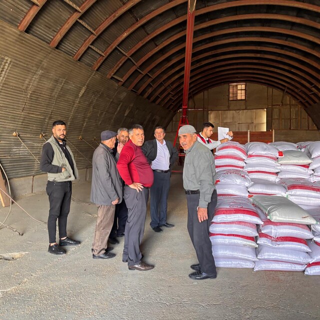 Muş'ta üreticilere 30 ton kırmızı mercimek tohumu dağıtıldı
