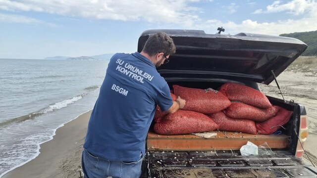Bursa'da kaçak avcılığa geçit yok: 2 ton 760 kilo kum şırlanı doğaya bırakıldı