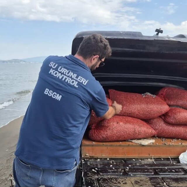 Bursa'da kaçak avcılığa geçit yok: 2 ton 760 kilo kum şırlanı doğaya bırakı...