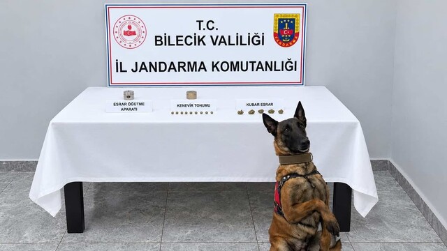 Narkotik köpeği uyuşturucuyu kokusundan buldu