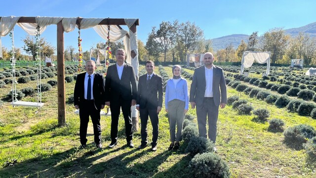 Samsun'da kadın üretici lavanta yetiştiriciliğiyle tarımsal çeşitliliğe katkı sağlıyor
