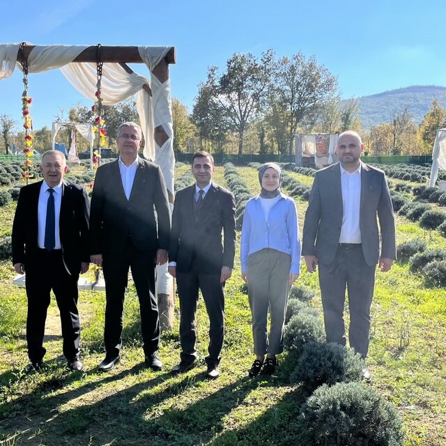 Samsun'da kadın üretici lavanta yetiştiriciliğiyle tarımsal çeşitliliğe kat...