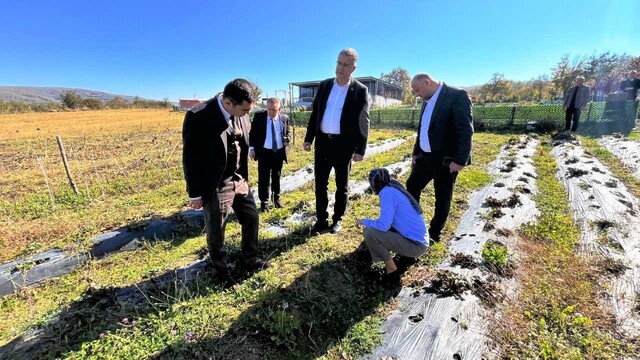 Samsun Tarım ve Orman Müdürü Yılmaz'dan Kavak ziyareti