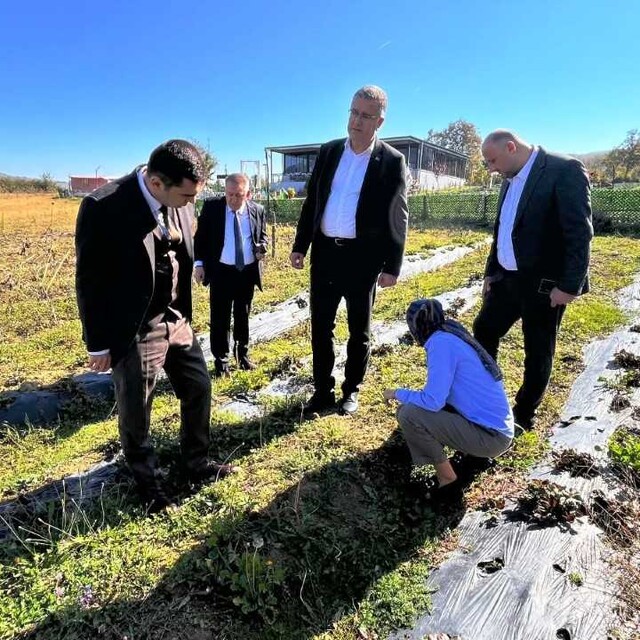 Samsun Tarım ve Orman Müdürü Yılmaz'dan Kavak ziyareti