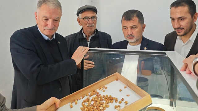 Fındık alım çalışmaları yerinde incelendi