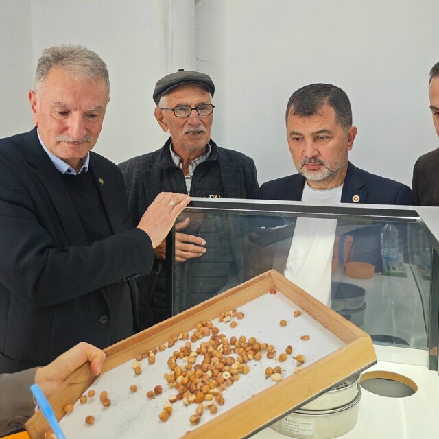 Fındık alım çalışmaları yerinde incelendi