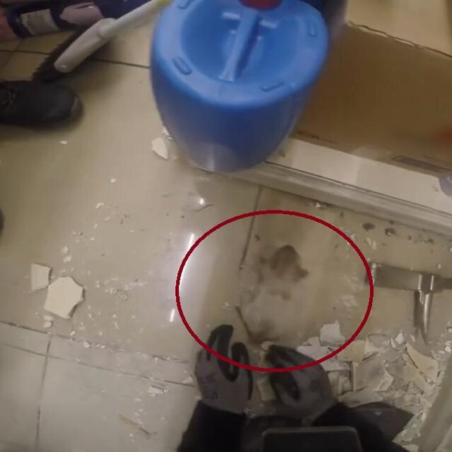 Demir profile sıkışan yavru kedinin kurtarılma anı kask kamerasında