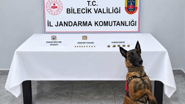 Bilecik'te uyuşturucu operasyonunda şüpheli yakalandı
