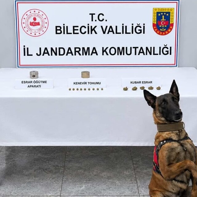 Bilecik'te uyuşturucu operasyonunda şüpheli yakalandı