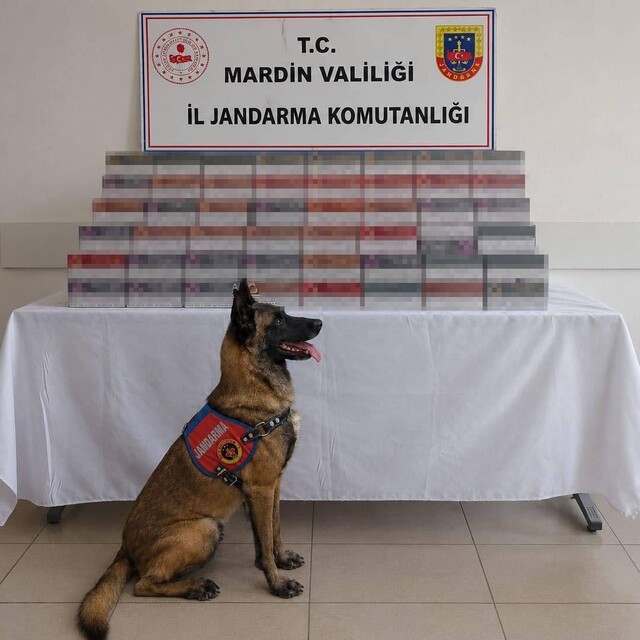 Mardin'de 8 milyon lira değerinde kaçak ürün ele geçirildi