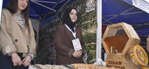 Hizan’da '1'inci karakovan bal hasadı festivali' başladı