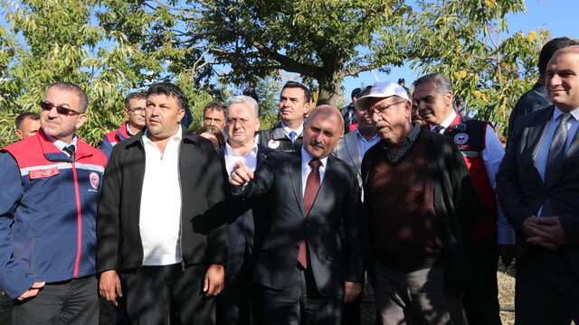 Aydın Valisi Varol, kestane hasadına katıldı
