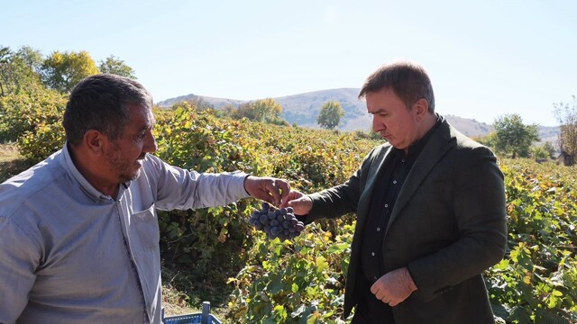 Vali Aydoğdu, üzüm hasadı yapan üreticiyi ziyaret etti