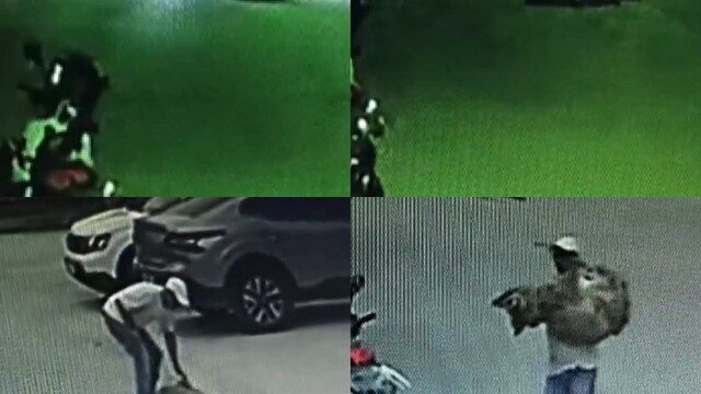 Araçla ezilen köpek kurtarılamadı