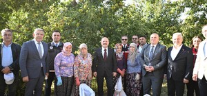 Aydın'da 5 bin 629 kestane üreticisi hasat heyecanı yaşıyor Vali Varol kestane hasadında üreticilerle bir araya geldi