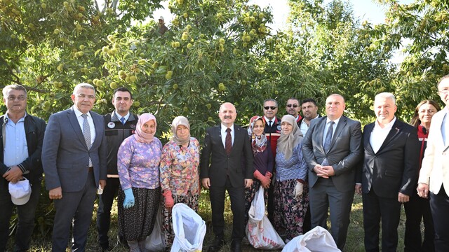 Aydın'da 5 bin 629 kestane üreticisi hasat heyecanı yaşıyor
Vali Varol kestane hasadında üreticilerle bir araya geldi
