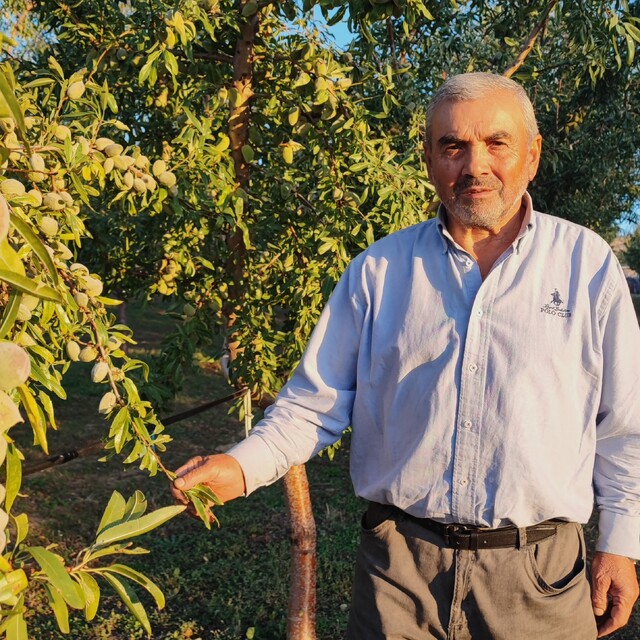Almanya'da doktoru bahçe işleriyle uğraşmasını önerdi, o memleketine dönüp...